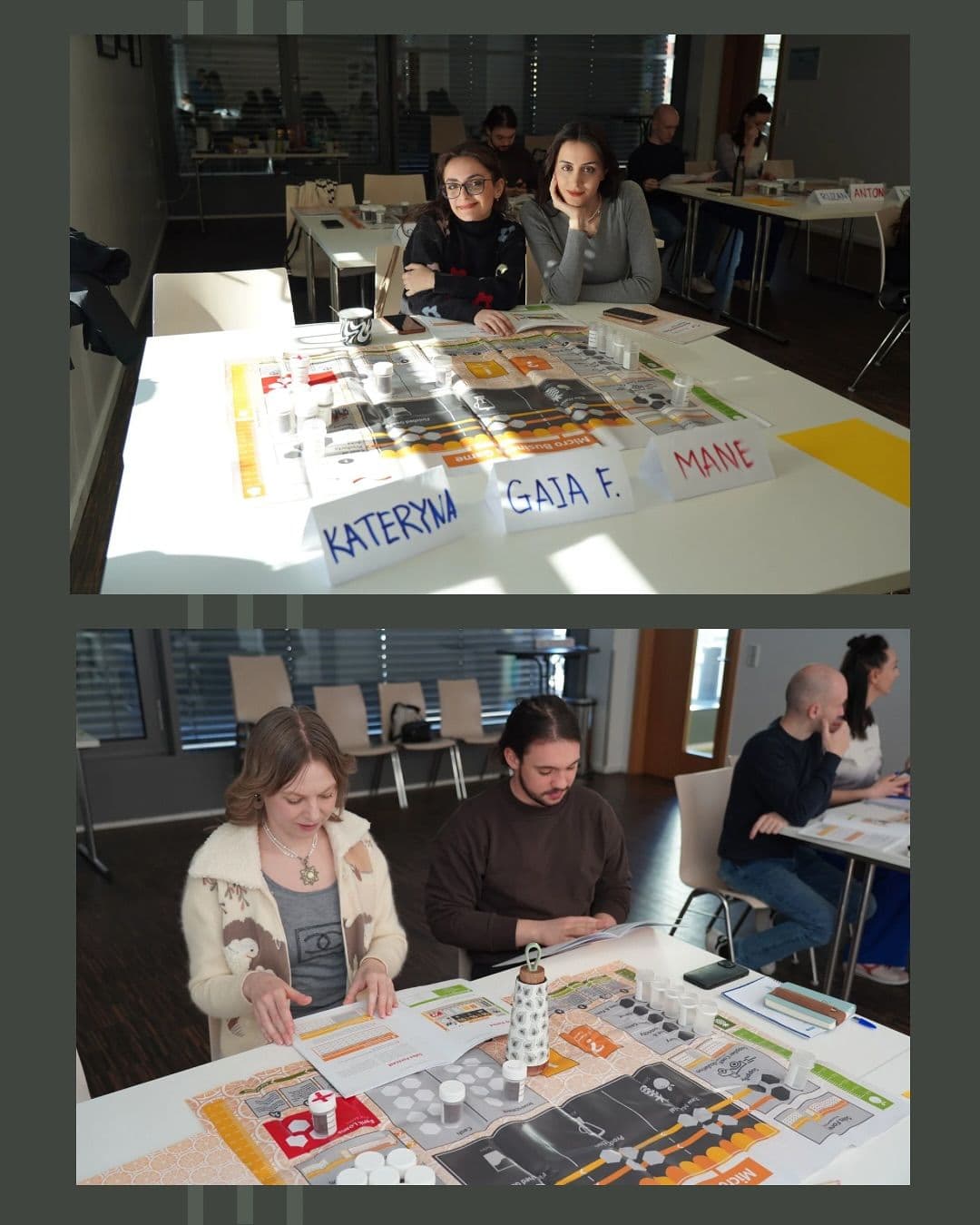 Microbusiness Game Simulation